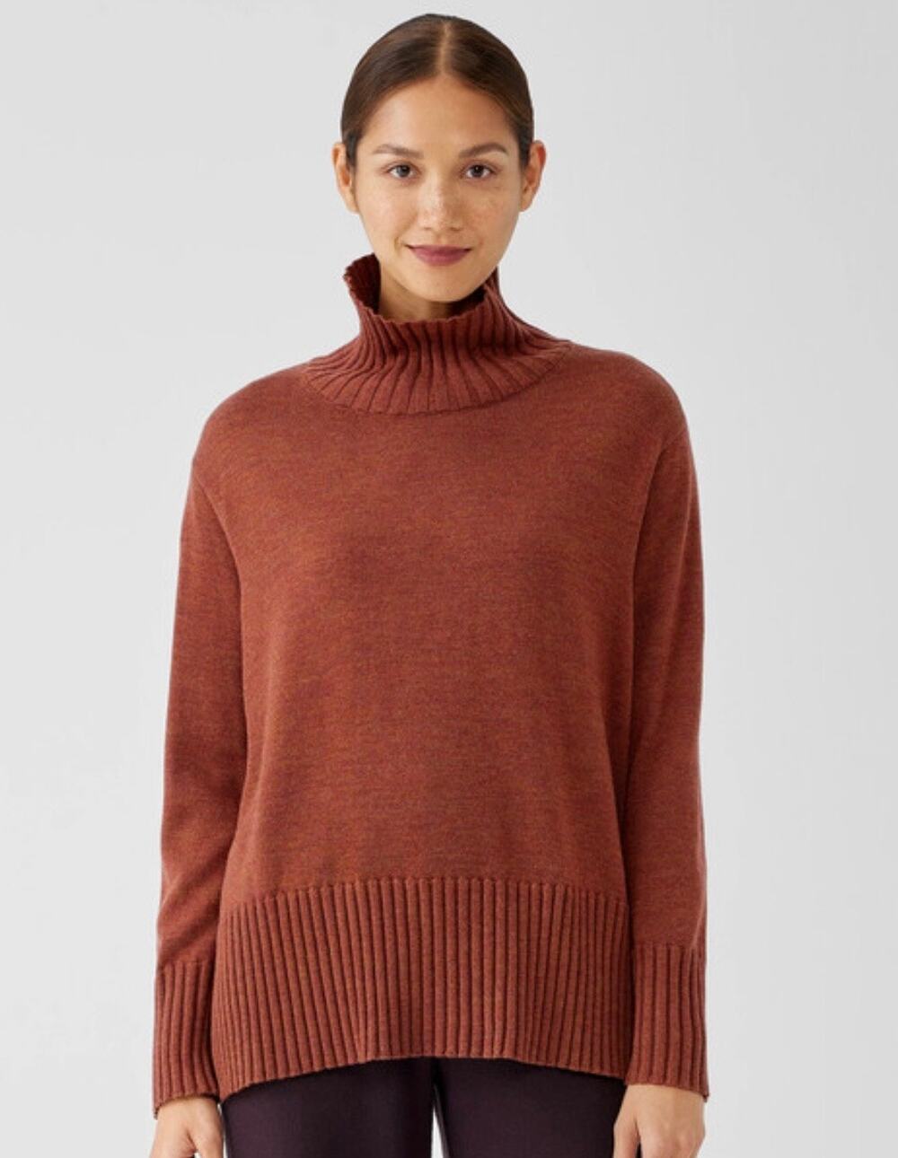 Eileen Fisher Spice Merino Jersey Turtleneck Regenerative Wool Knit Sweater XXS